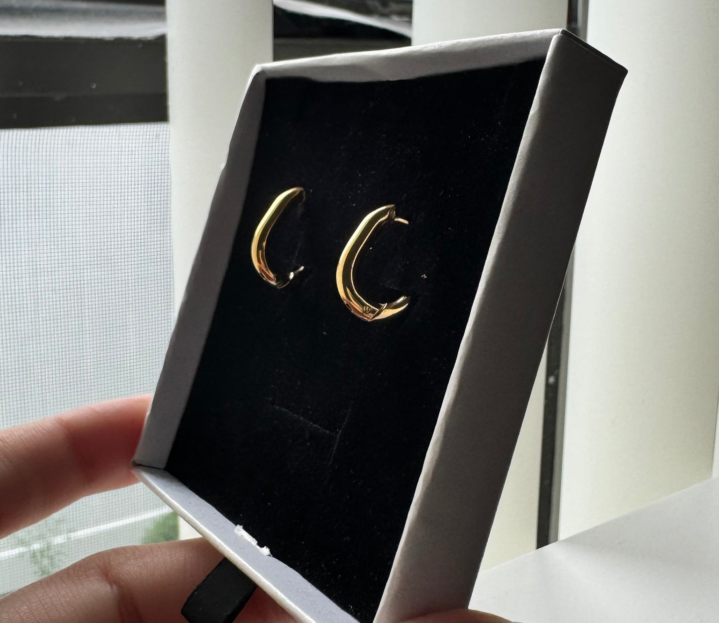 Double earring